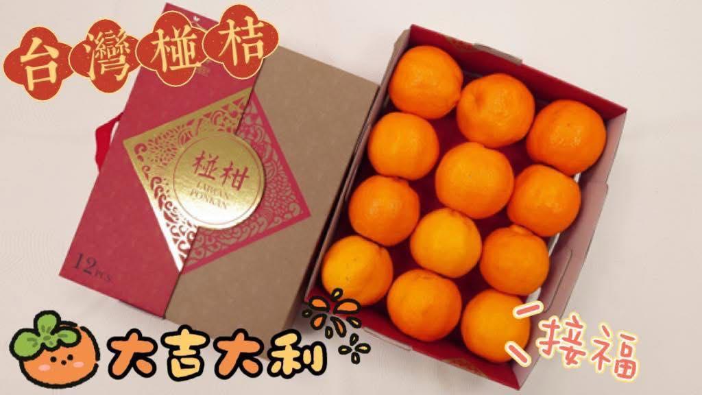 頂級老欉台灣椪柑