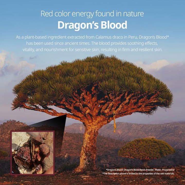 VT 龍血緊緻抗老微針100精華 (6)