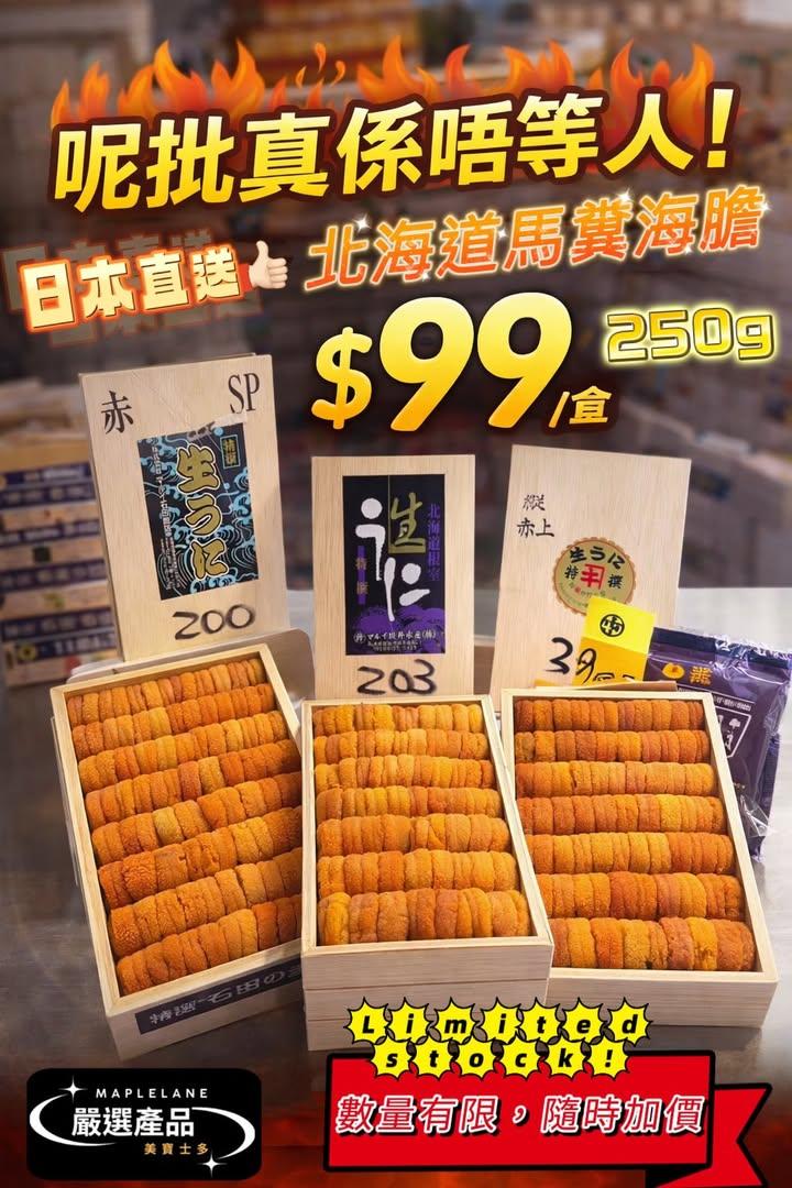  北海道馬糞海膽