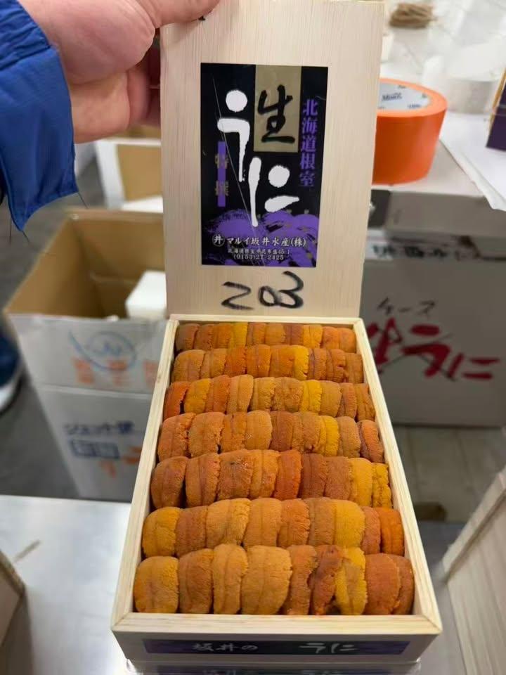 日本直送 北海道馬糞海膽 (4)