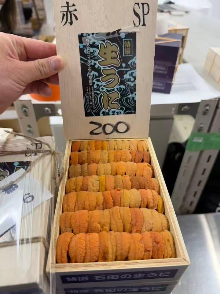 日本直送 北海道馬糞海膽 (2)