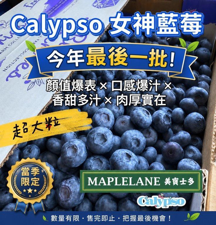 Calypso 女神藍莓 （8/6） (3)