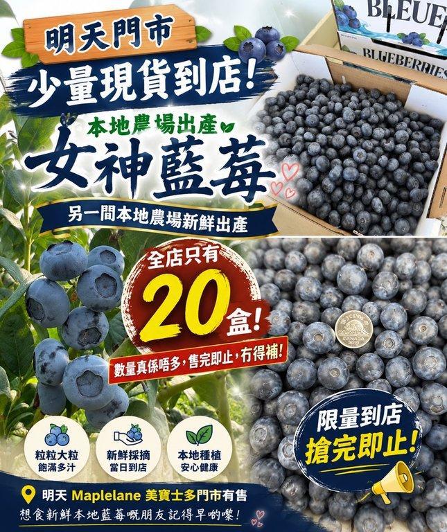 女神藍莓 (8/8) (2)