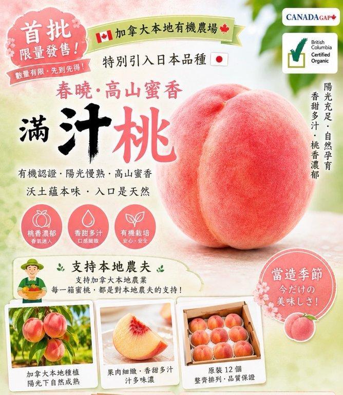 加拿大本地有機蜜桃 (4)