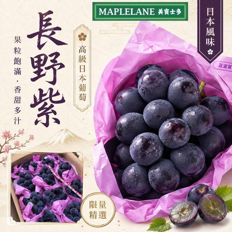 日本長野紫 Nagano Purple｜高級黑葡萄 (3)