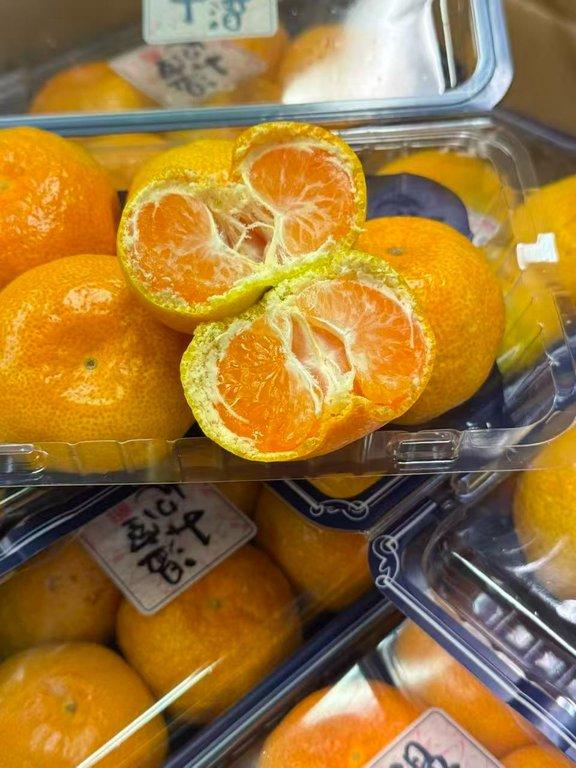 日本佐賀蜜橘 (4)
