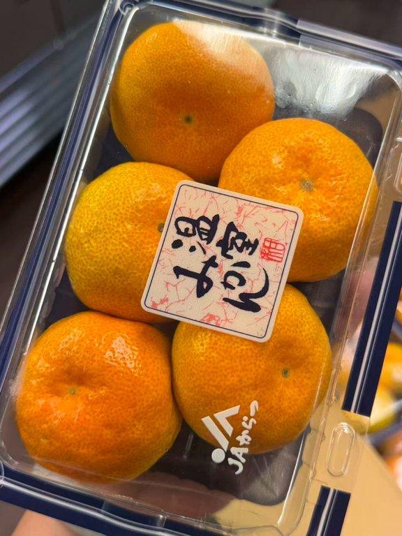 日本佐賀蜜橘 (2)