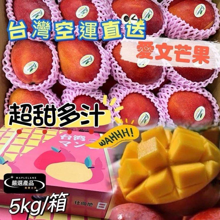 台灣愛文芒果 (2)