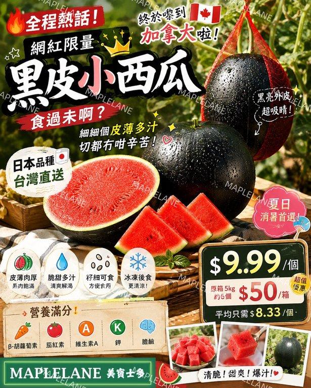 黑皮小西瓜