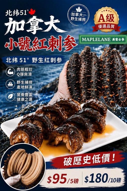 加拿大冰鮮紅刺參