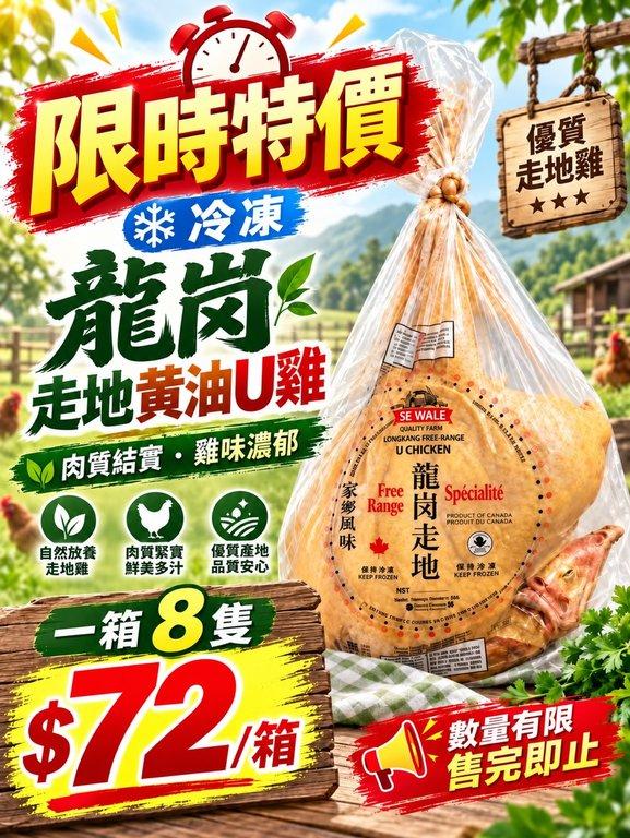 龍崗走地黃油U雞