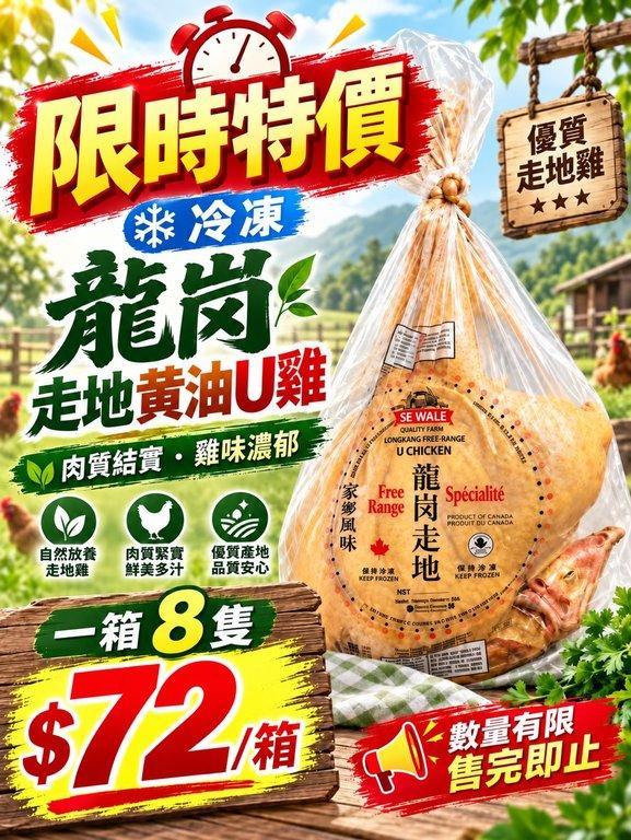 龍崗走地黃油U雞 (2)