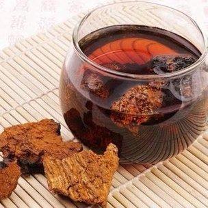 加拿大野生樺樹茸 (2)